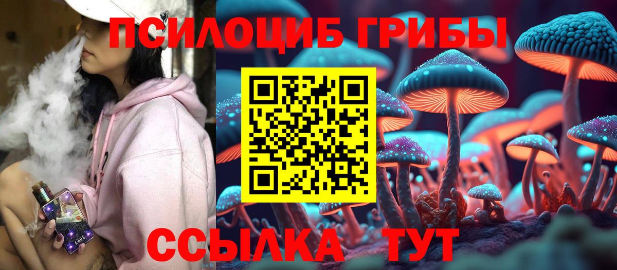 Псилоцибиновые грибы GOLDEN TEACHER  Вход с VPN  Новоалександровск  Псилоцибиновые грибы ЛСД 