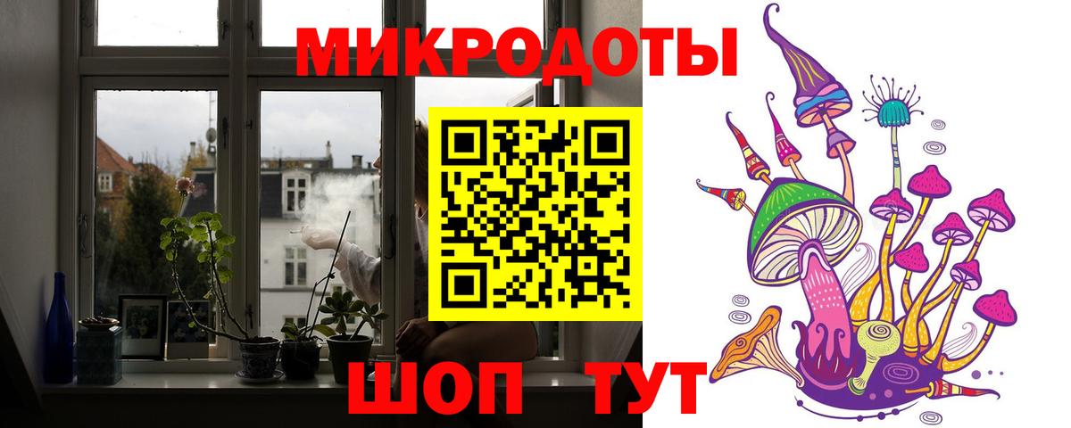 Псилоцибиновые грибы Psilocybine cubensis Новоалександровск