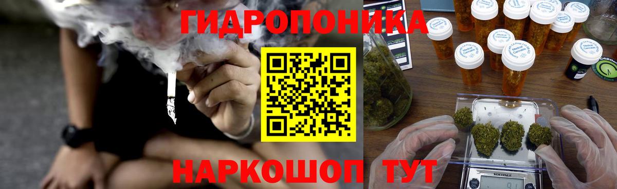 Марихуана OG Kush Новоалександровск